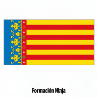 Comunidad Valenciana Flag GIF by Formación Ninja