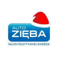autozieba renault katowice dacia auto zieba Sticker