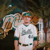 South Florida Baseball GIF by USF Athletics