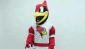 Mascot Reggie GIF by Illinois State University
