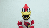 Mascot Reggie GIF by Illinois State University
