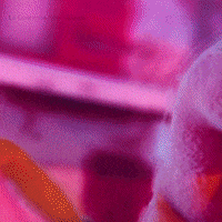 War Running GIF by La Guarimba Film Festival
