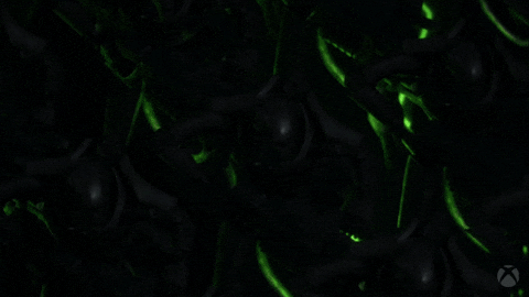 Look Up Warhammer 40K GIF by Xbox