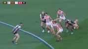 afl GIF by Adelaide Crows