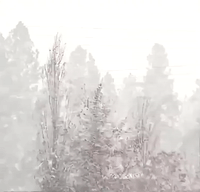 Blowing Snow Reduces Visibility During Winter Storm in Columbia Falls