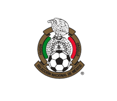 Proud World Cup Sticker by Wells Fargo