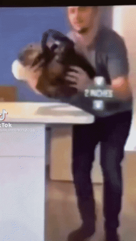 moethantkyaw giphyupload GIF