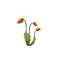 acidfokk plant herb moss мох Sticker