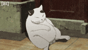 Rolling Fat Cat GIF by Adult Swim