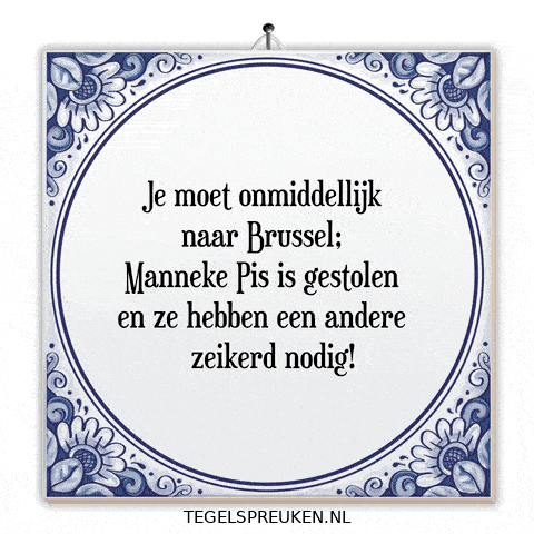 Drama Nl GIF by Tegelspreuken.nl