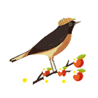 Drink Limonata Sticker by Cugini Caruso