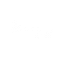 Ccst Sticker