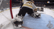 ice hockey sport GIF by NHL