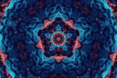 kapilbambardekar giphyupload GIF