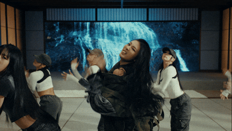 Meow GIF by MEOVV