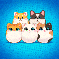 Cat Go GIF by UpStudiosWorld