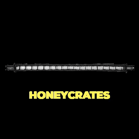 Hc Babybee GIF by Honeycrates