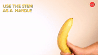 Banana stem as handle