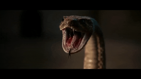 forrestwickman giphygifmaker GIF