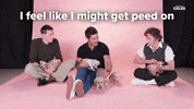 Zac Efron Puppies GIF by BuzzFeed