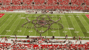 tbdbitl ohio state buckeyes ohio state buckeyes marching band GIF