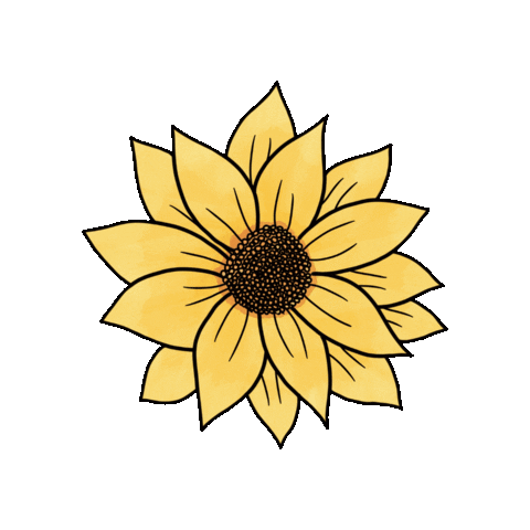 Flores Girassol Sticker