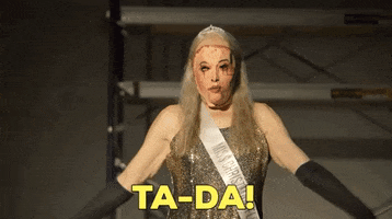 magicsocietypictures christmas florida voila serving GIF