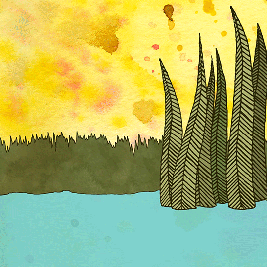 animation duck GIF by opertura