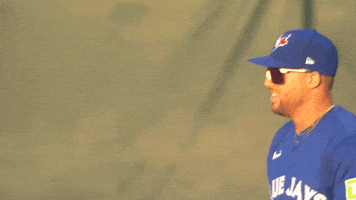Blue Jays Baseball GIF by Toronto Blue Jays