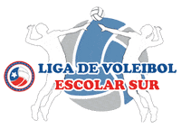 Sport Volleyball Sticker by LincolnCollegeChile