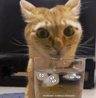 tired GIF