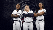 Softball Fastpitch GIF by USSSA Pride