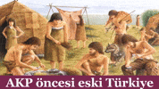 Rte Chp GIF