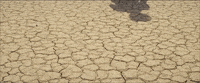 Germany Finland GIF by TIFF