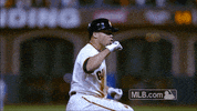 sf 137 GIF by MLB