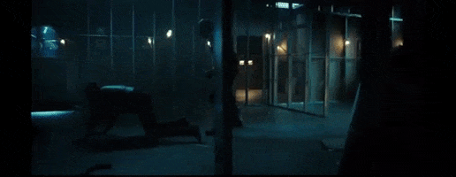 d4441 giphygifmaker GIF