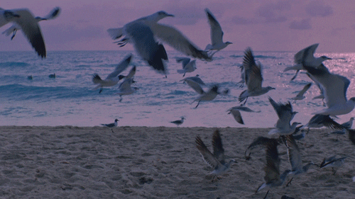 Me Enamora Love GIF by Mau y Ricky