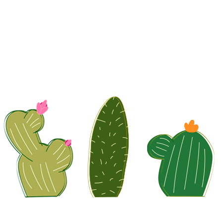 desert cactus Sticker by Lucky Brand