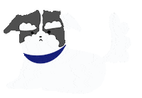 Dog Sticker