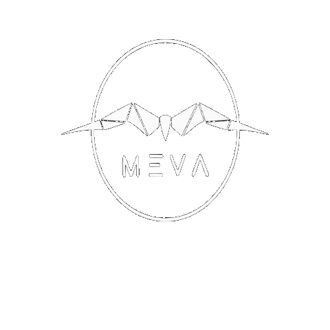 MEVA-Events giphygifmaker party techno event Sticker
