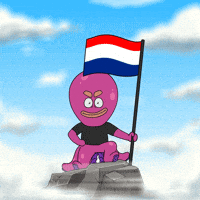 Flag Country GIF by Octo Gaming