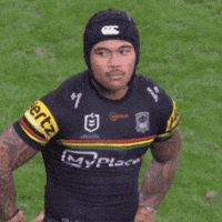 Penrith Panthers GIF