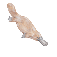 littleraeprints art artist australia aussie Sticker