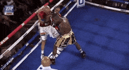 toprank fight boxing fighting espn GIF