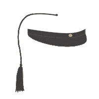Hat Student Sticker