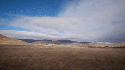 going there youtube GIF by SoulPancake