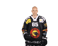 Untersander Sticker by SC Bern