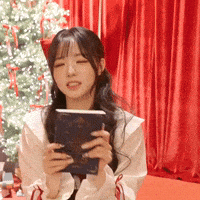 K Pop Christmas GIF