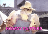 Cowboy Turtle GIF by jOnNy'S wOrLd