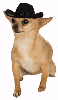 Party Howdy GIF by jOnNy'S wOrLd